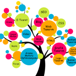 Web Tasarım ve Seo