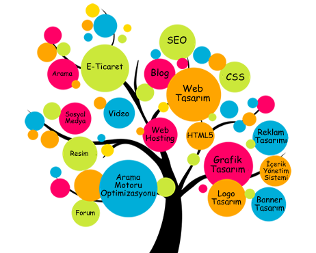 Web Tasarım ve Seo